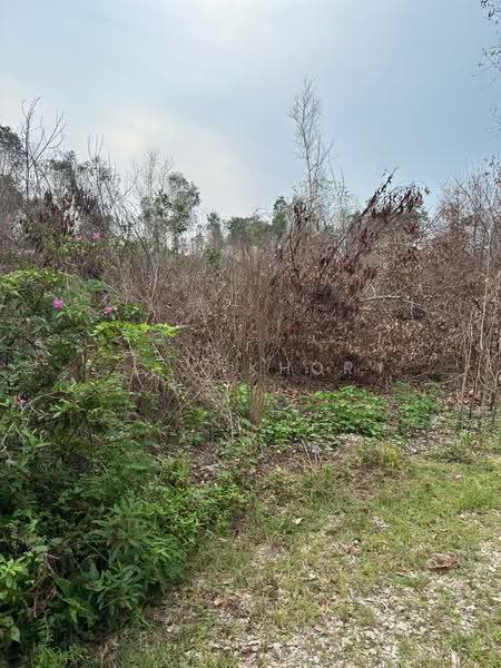 Residential Land for Sale in Kuala Nerus (Kuala Terengganu) - C C Khor - PropertyGuru.com.my