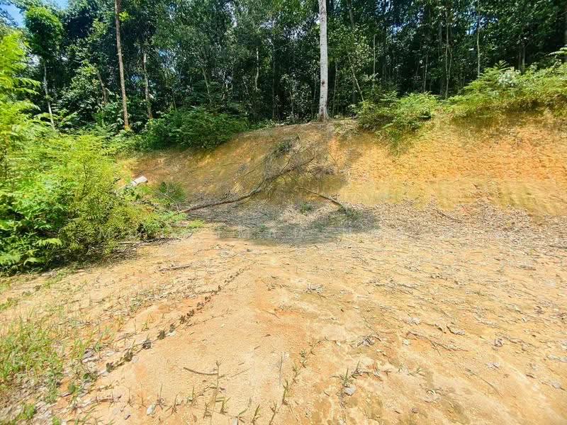 Agricultural Land for Sale in Sungai Pening (Semenyih) - Muhammad Nazli Mohd Amin - PropertyGuru.com.my