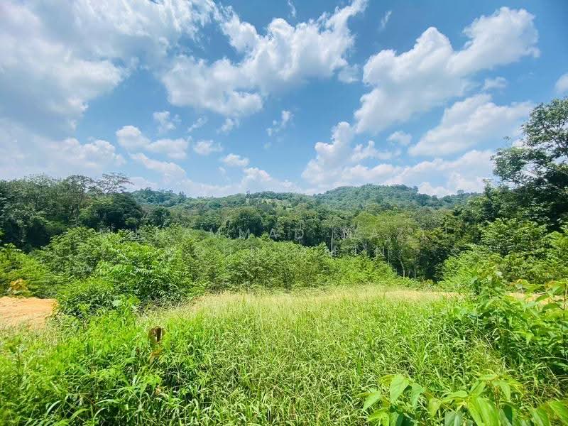 Agricultural Land for Sale in Sungai Pening (Semenyih) - Muhammad Nazli Mohd Amin - PropertyGuru.com.my
