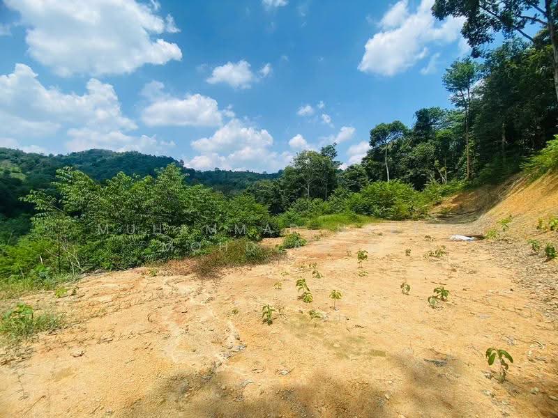 Agricultural Land for Sale in Sungai Pening (Semenyih) - Muhammad Nazli Mohd Amin - PropertyGuru.com.my