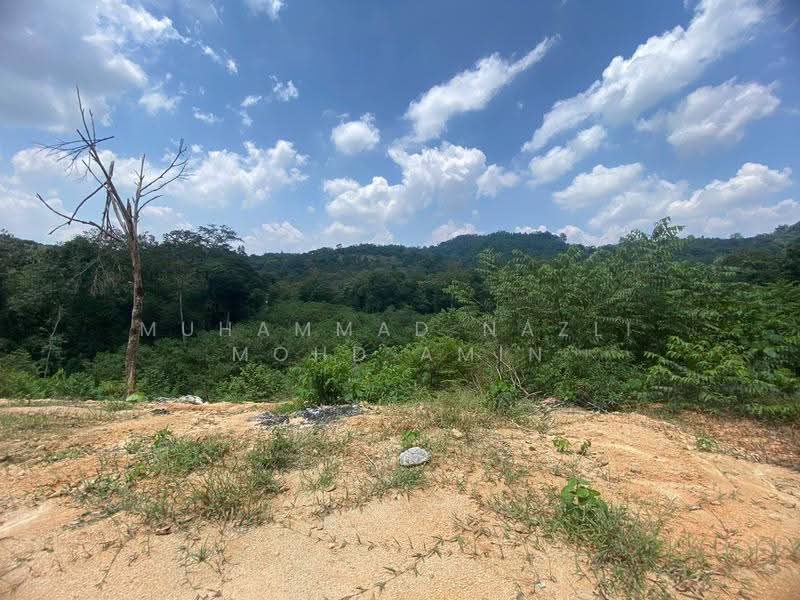 Agricultural Land for Sale in Sungai Pening (Semenyih) - Muhammad Nazli Mohd Amin - PropertyGuru.com.my