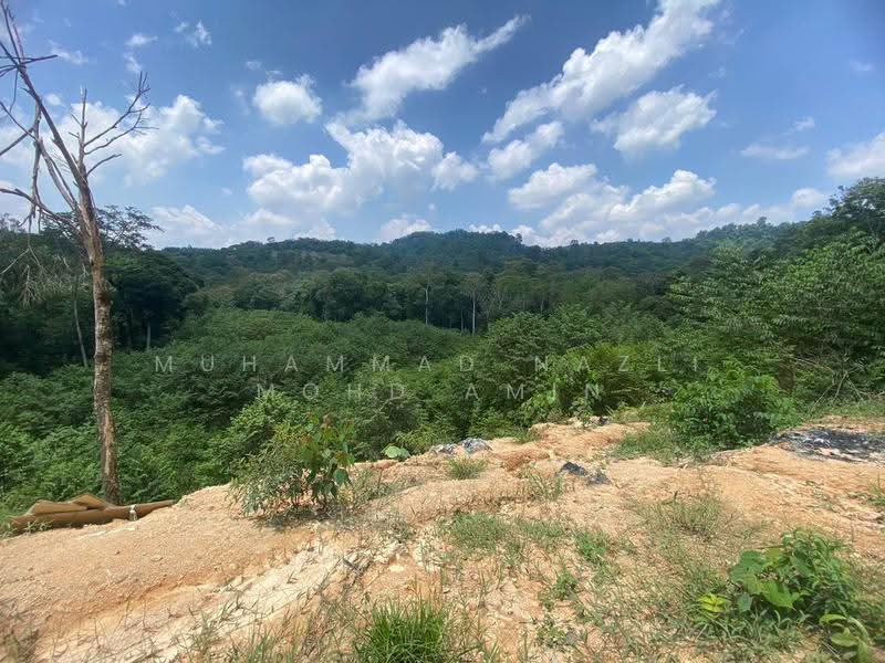 Agricultural Land for Sale in Sungai Pening (Semenyih) - Muhammad Nazli Mohd Amin - PropertyGuru.com.my