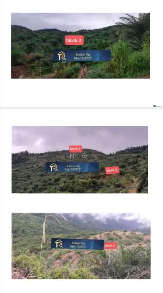 Agricultural Land for Sale in Ranau (Sabah) - Ng Chiew Yok - PropertyGuru.com.my