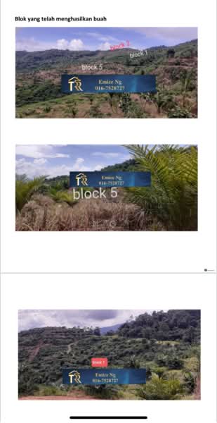 Agricultural Land for Sale in Ranau (Sabah) - Ng Chiew Yok - PropertyGuru.com.my