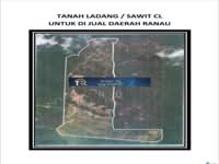 For Sale - NT Palm oil land
