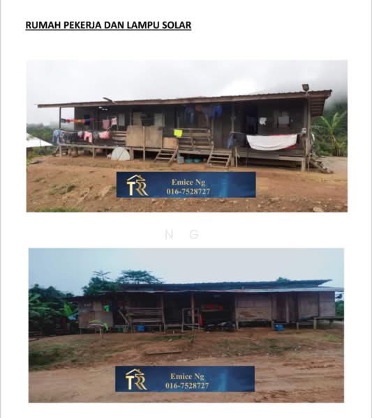 Agricultural Land for Sale in Ranau (Sabah) - Ng Chiew Yok - PropertyGuru.com.my