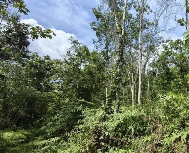 Tanah Pertanian untuk Dijual di Bentong (Pahang) - Elaine Kow - PropertyGuru.com.my
