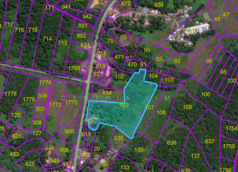 Agricultural Land for Sale in Sri Aman (Sarawak) - Cynthia Lim - PropertyGuru.com.my