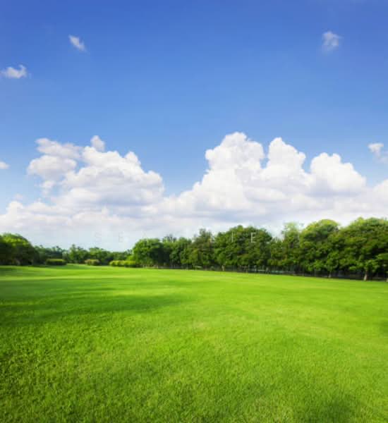 Industrial Land for Sale in Rawang (Selangor) - Sean Liew - PropertyGuru.com.my