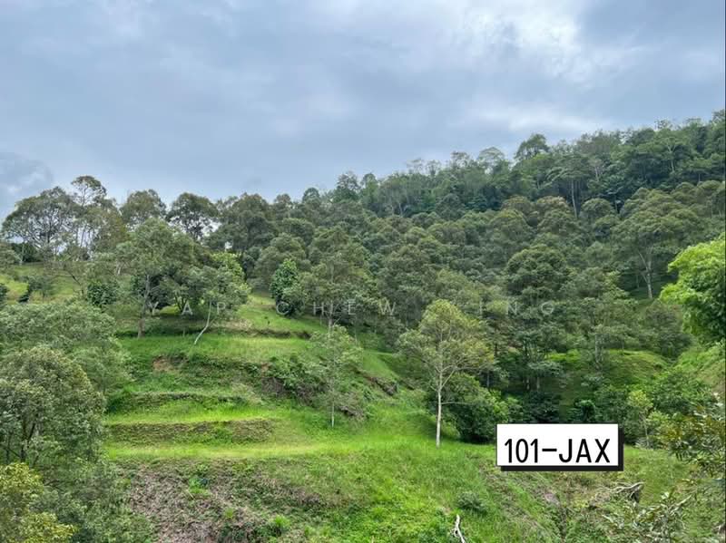 Agricultural Land for Sale in Bukit Tinggi (Bentong) - Yap Chew Ying - PropertyGuru.com.my