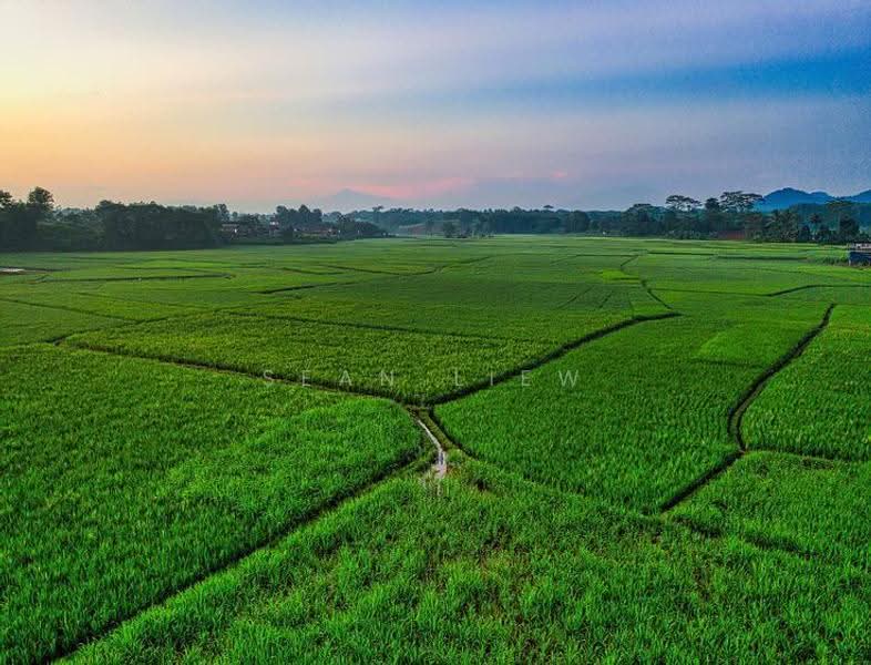 Tanah Perindustrian untuk Dijual di Bandar Taiping (Taiping) - Sean Liew - PropertyGuru.com.my