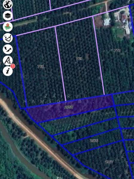 Agricultural Land for Sale in Bukit Robinson (Ijok) - Zairul Hamedi Bin Zainal - PropertyGuru.com.my