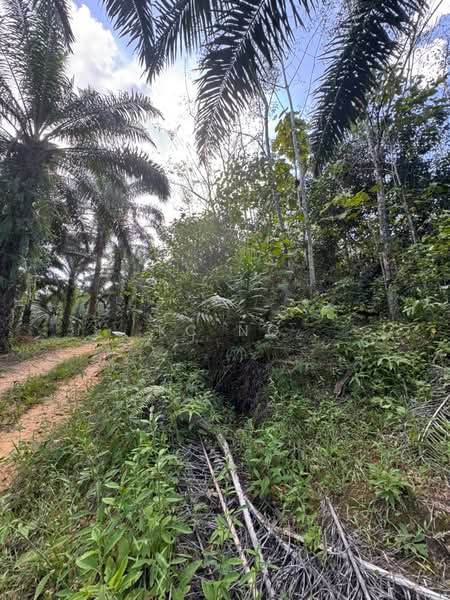 Tanah Pertanian untuk Dijual di Kampung Gerik (Gerik) - KC Ng - PropertyGuru.com.my