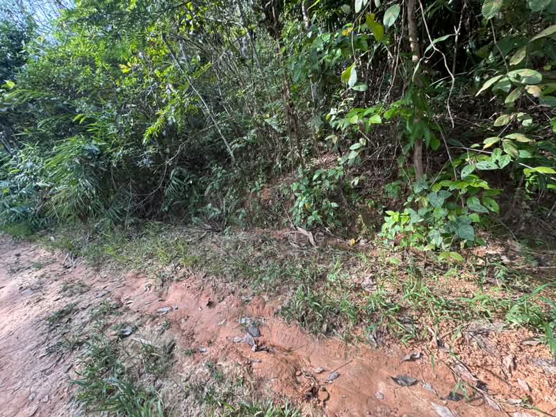 Tanah Pertanian untuk Dijual di Kampung Gerik (Gerik) - KC Ng - PropertyGuru.com.my