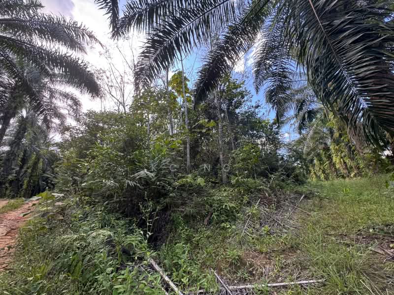 Tanah Pertanian untuk Dijual di Kampung Gerik (Gerik) - KC Ng - PropertyGuru.com.my