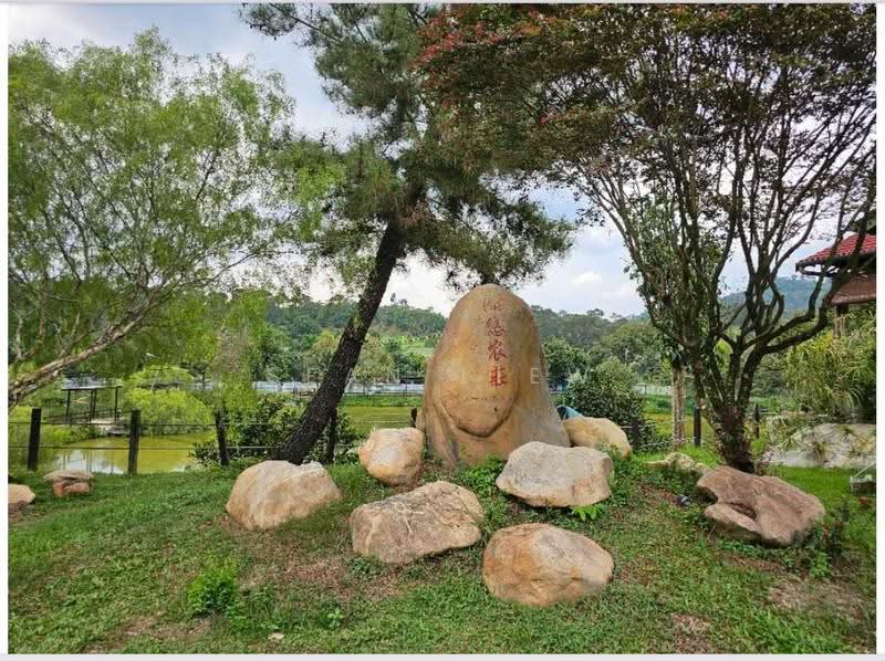Agricultural Land for Sale in Hulu Langat (Selangor) - Sean Liew - PropertyGuru.com.my