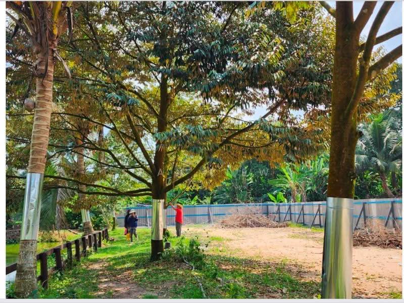 Agricultural Land for Sale in Hulu Langat (Selangor) - Sean Liew - PropertyGuru.com.my