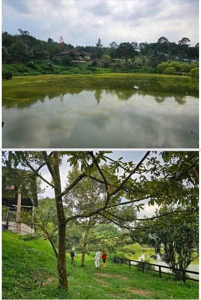 Agricultural Land for Sale in Hulu Langat (Selangor) - Sean Liew - PropertyGuru.com.my