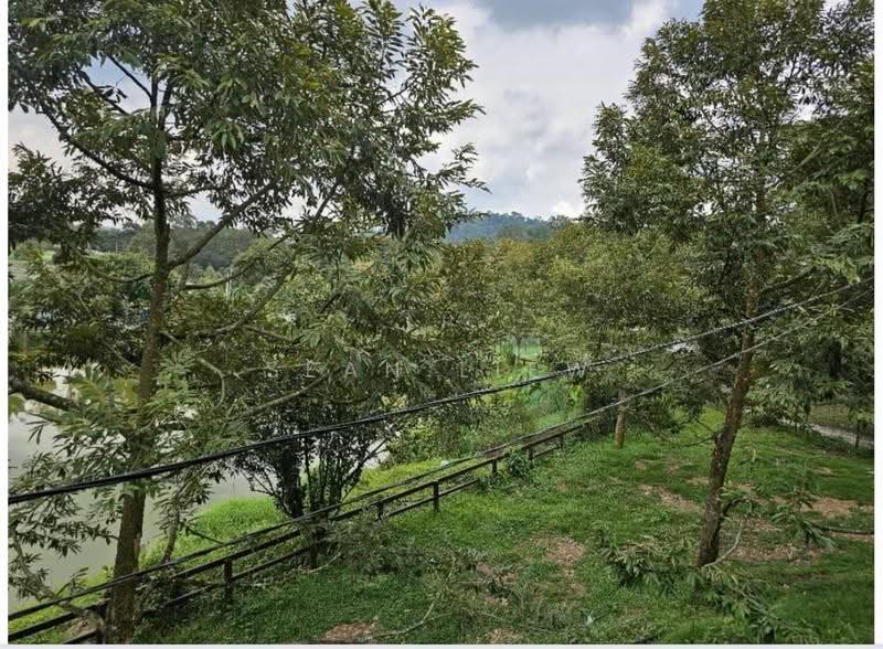 Agricultural Land for Sale in Hulu Langat (Selangor) - Sean Liew - PropertyGuru.com.my