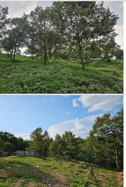 Agricultural Land for Sale in Hulu Langat (Selangor) - Sean Liew - PropertyGuru.com.my