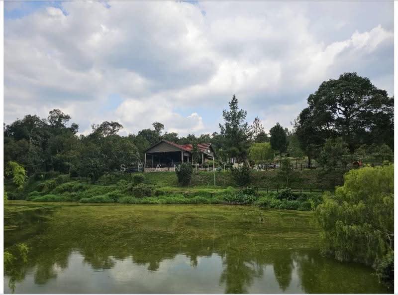 Agricultural Land for Sale in Hulu Langat (Selangor) - Sean Liew - PropertyGuru.com.my
