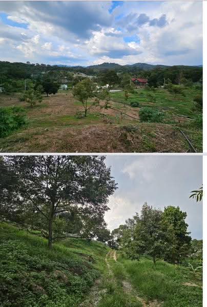 Agricultural Land for Sale in Hulu Langat (Selangor) - Sean Liew - PropertyGuru.com.my