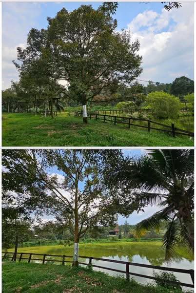 Agricultural Land for Sale in Hulu Langat (Selangor) - Sean Liew - PropertyGuru.com.my
