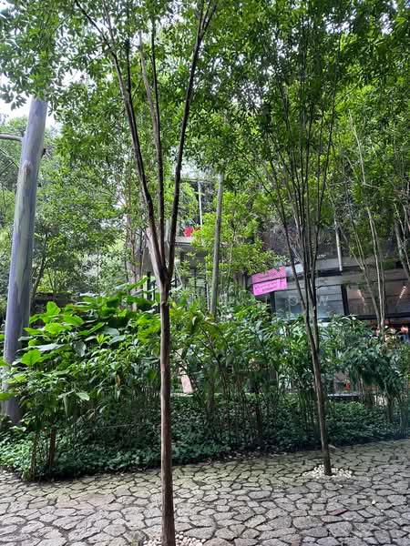 Shop / Office untuk Disewa di Tamarind square (Cyberjaya) - Sue Ann Low - PropertyGuru.com.my
