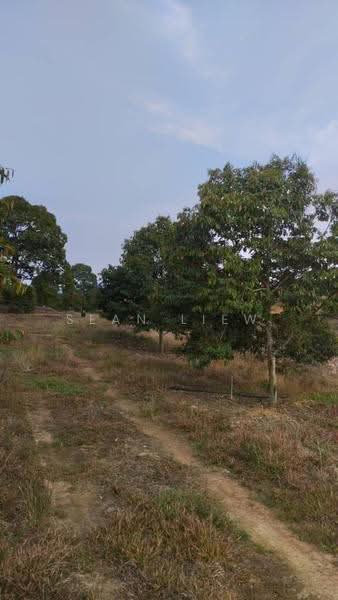 Agricultural Land for Sale in Simpang Pertang , Negeri Sembilan (Simpang Pertang) - Sean Liew - PropertyGuru.com.my