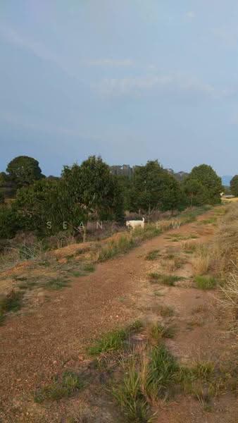 Agricultural Land for Sale in Simpang Pertang , Negeri Sembilan (Simpang Pertang) - Sean Liew - PropertyGuru.com.my