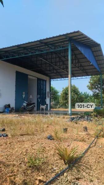 Agricultural Land for Sale in Beside Mainroadđ Durian Farm @ Negeri Sembilab (Simpang Pertang) - Yap Chew Ying - PropertyGuru.com.my