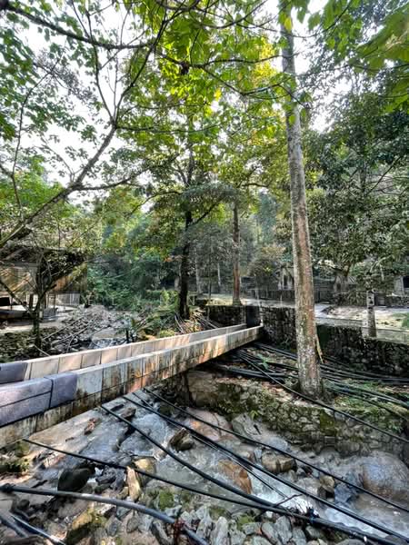 Agricultural Land for Sale in Seremban (Negeri Sembilan) - Elynne Lim - PropertyGuru.com.my