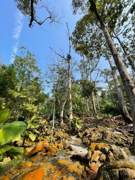 Agricultural Land for Sale in Seremban (Negeri Sembilan) - Elynne Lim - PropertyGuru.com.my