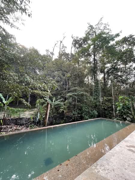 Agricultural Land for Sale in Seremban (Negeri Sembilan) - Elynne Lim - PropertyGuru.com.my