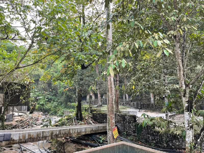 Agricultural Land for Sale in Seremban (Negeri Sembilan) - Elynne Lim - PropertyGuru.com.my