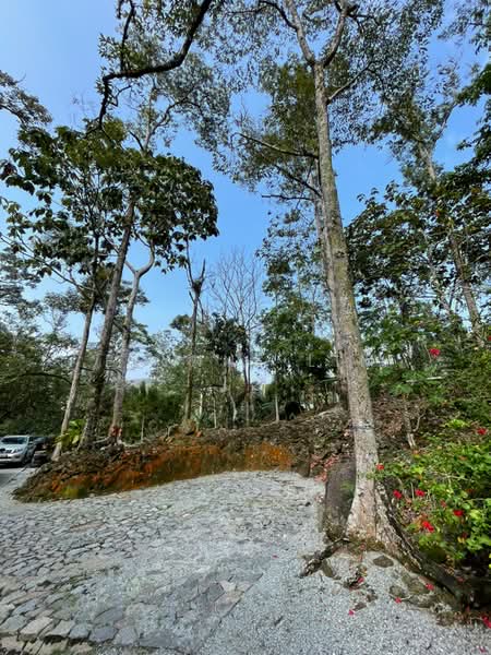 Agricultural Land for Sale in Seremban (Negeri Sembilan) - Elynne Lim - PropertyGuru.com.my