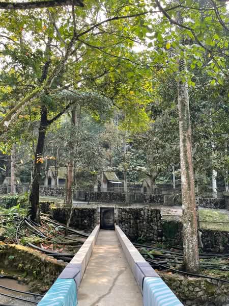 Agricultural Land for Sale in Seremban (Negeri Sembilan) - Elynne Lim - PropertyGuru.com.my