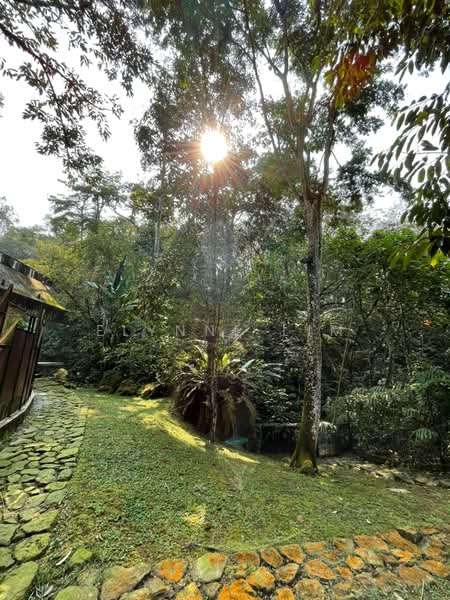 Agricultural Land for Sale in Seremban (Negeri Sembilan) - Elynne Lim - PropertyGuru.com.my