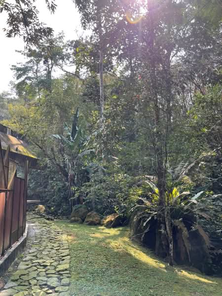 Agricultural Land for Sale in Seremban (Negeri Sembilan) - Elynne Lim - PropertyGuru.com.my