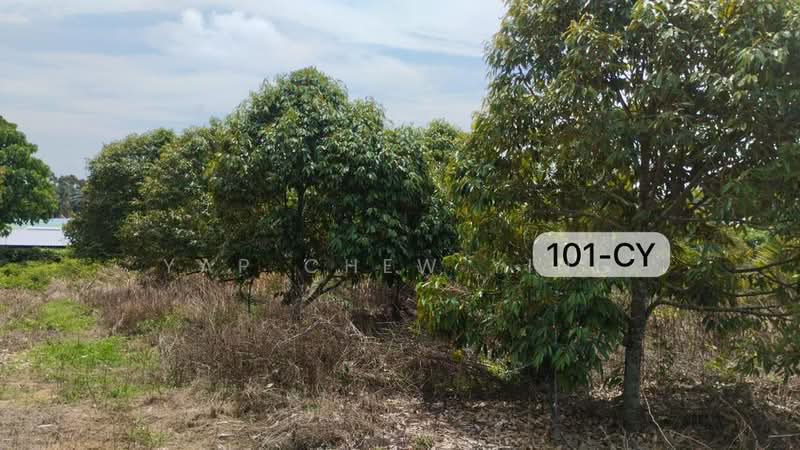 Tanah Pertanian untuk Dijual di Kampung Perepat (Kapar) - Yap Chew Ying - PropertyGuru.com.my