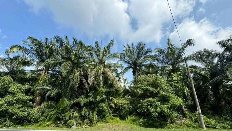 Tanah Pertanian untuk Dijual di Kampung Perepat (Kapar) - Yap Chew Ying - PropertyGuru.com.my