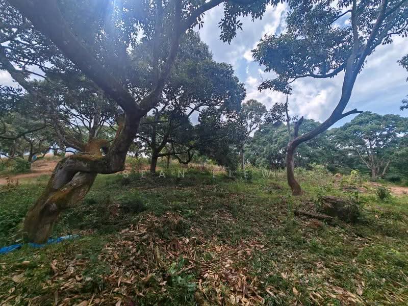Tanah Pertanian untuk Dijual di Jasin , Melaka (Jasin) - Sean Liew - PropertyGuru.com.my
