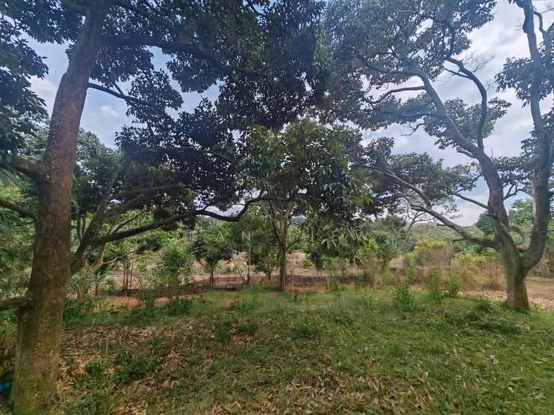 Tanah Pertanian untuk Dijual di Jasin , Melaka (Jasin) - Sean Liew - PropertyGuru.com.my