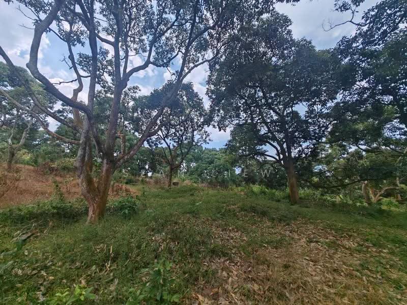 Tanah Pertanian untuk Dijual di Jasin , Melaka (Jasin) - Sean Liew - PropertyGuru.com.my