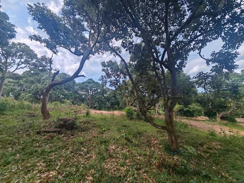 Tanah Pertanian untuk Dijual di Jasin , Melaka (Jasin) - Sean Liew - PropertyGuru.com.my