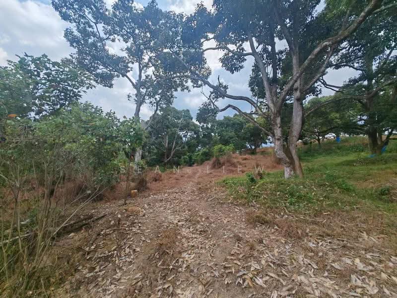Tanah Pertanian untuk Dijual di Jasin , Melaka (Jasin) - Sean Liew - PropertyGuru.com.my