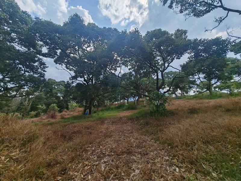 Tanah Pertanian untuk Dijual di Jasin , Melaka (Jasin) - Sean Liew - PropertyGuru.com.my