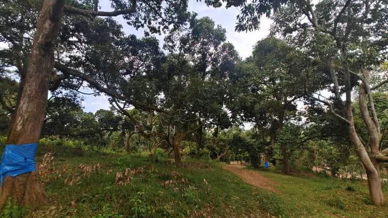 Tanah Pertanian untuk Dijual di Jasin , Melaka (Jasin) - Sean Liew - PropertyGuru.com.my