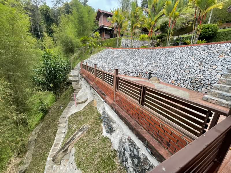 Agricultural Land for Sale in Bukit Tinggi (Bentong) - MckayC TEH - PropertyGuru.com.my