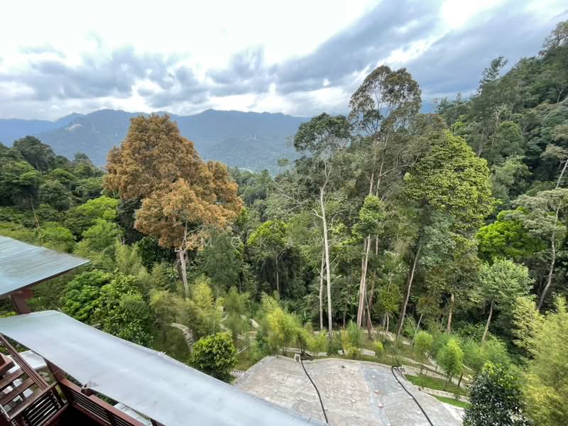 Agricultural Land for Sale in Bukit Tinggi (Bentong) - MckayC TEH - PropertyGuru.com.my